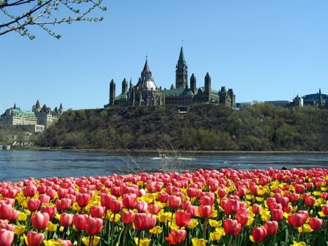 View of federal parliment building in Ottawa